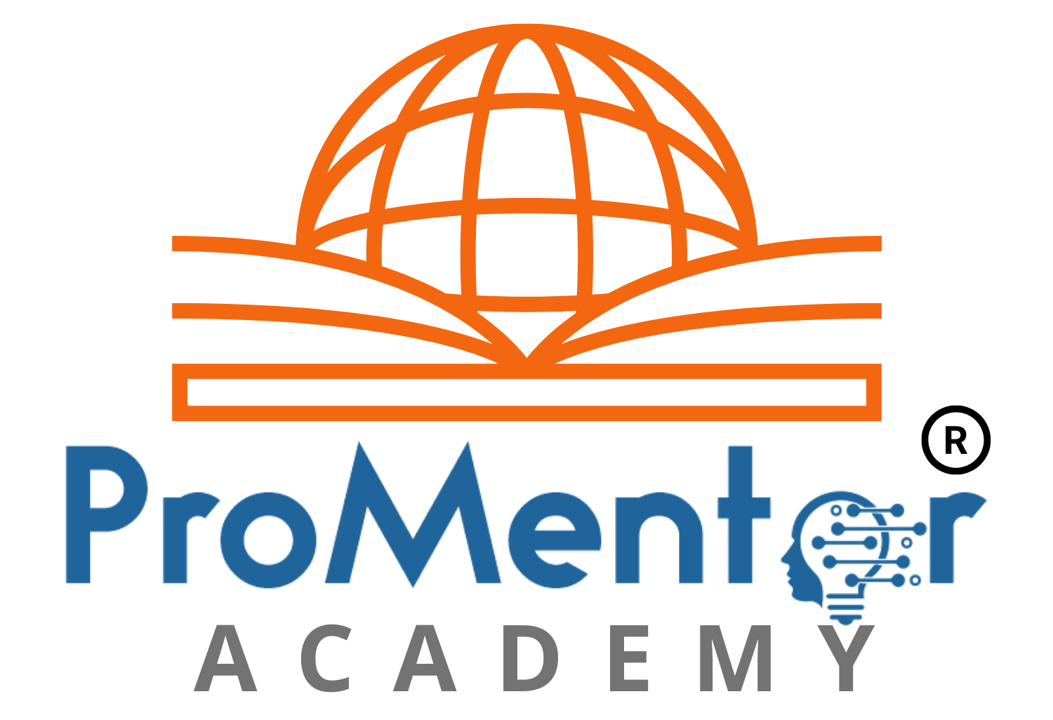 ProMentor%20Academy